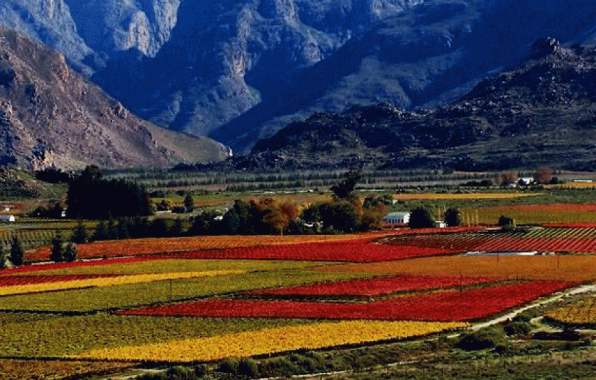 Big Five’ South Africa Tour -12 Days