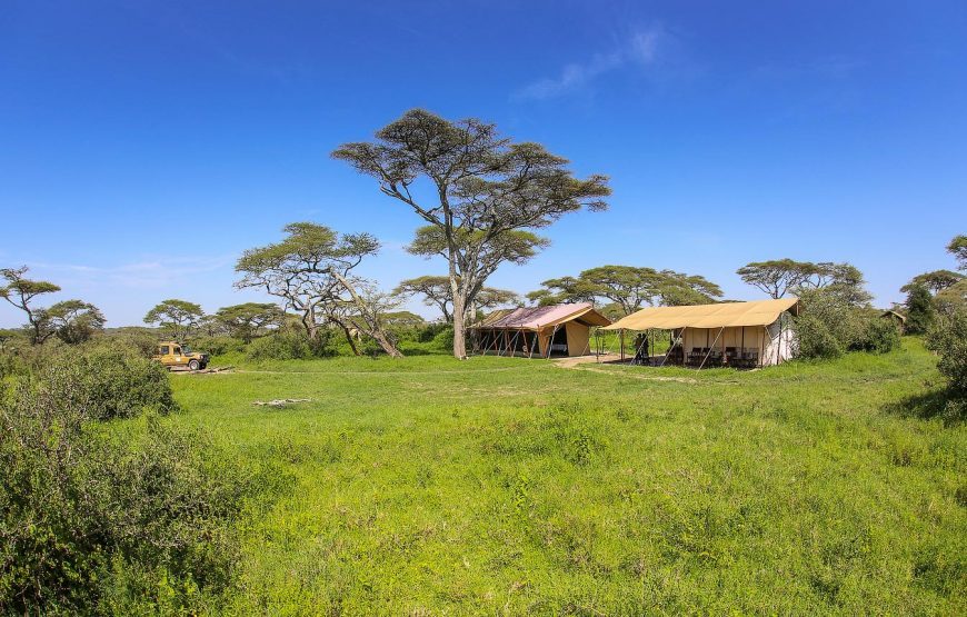 Gabon: Gorillas and More – 5 Days