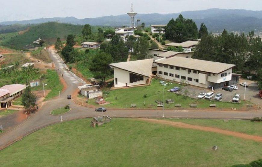 Cultural Tour of Cameroon – 7 Days