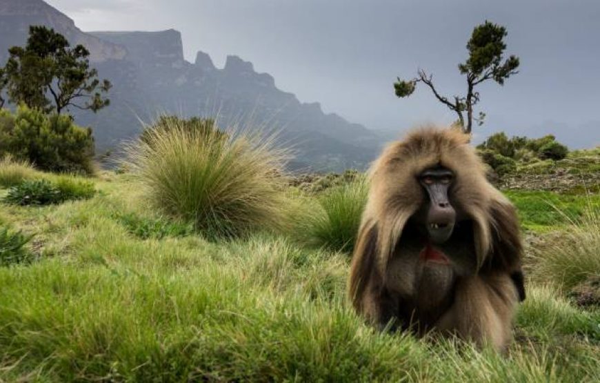 Ethiopia Tour Program Historic Route with Omo – 14 Days