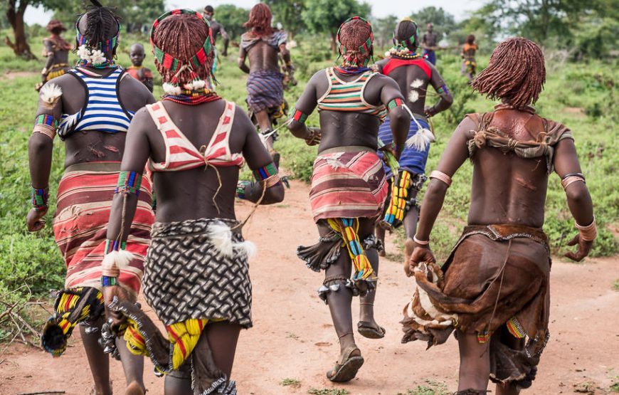 Tour of Ethiopia, Danakil, Harar, Bale and Awash National Park – 10 Days