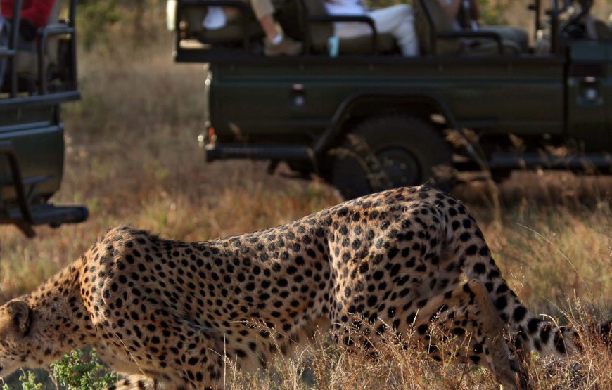 Big Five’ South Africa Tour -12 Days