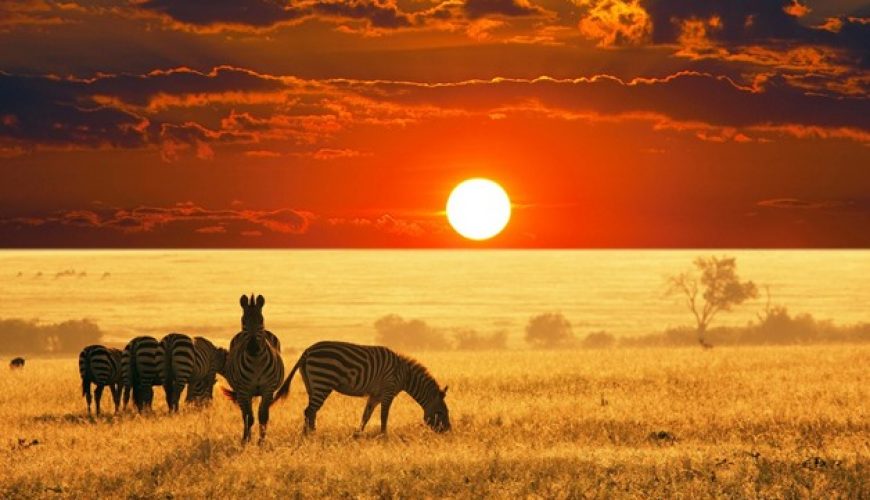 WHY A VISIT TO AFRICA IS LIFE CHANGING
