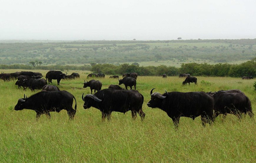 Namibia Highlights – 10 Days