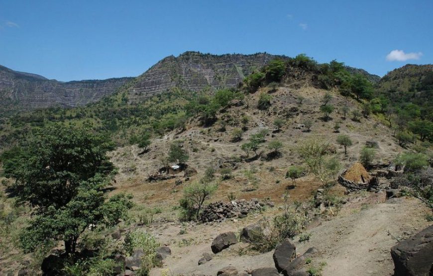 Cultural Tour of Djibouti – 7 Days