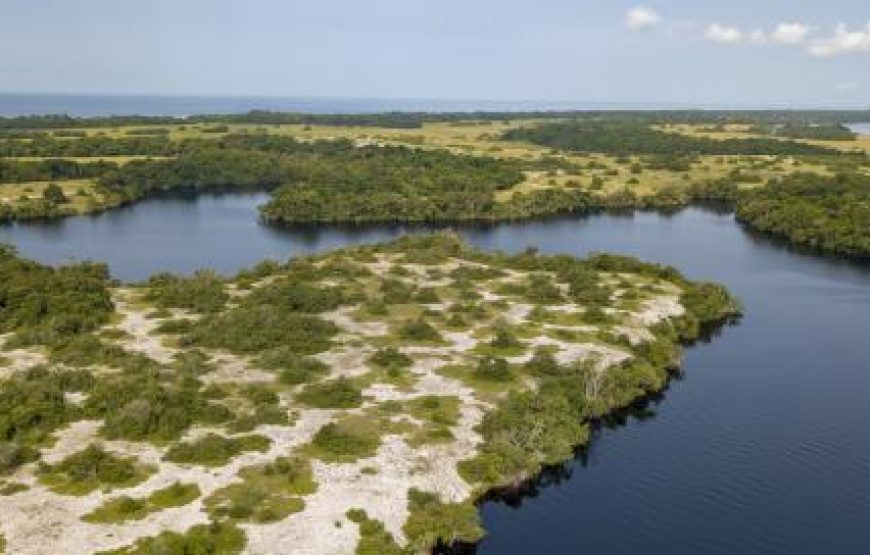 Journey to Loango National Park – 12 Days