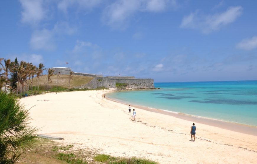 Gabon Gorilla Trekking & Democratic Republic of Congo