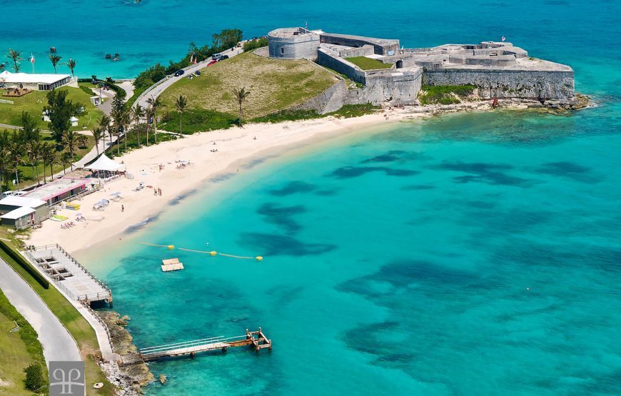 Gabon Gorilla Trekking & Democratic Republic of Congo