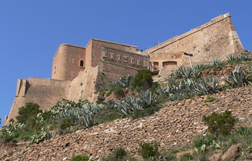 Roman Algeria – 9 Days