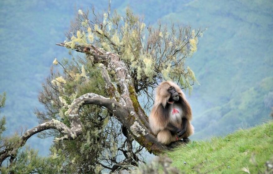 Ethiopia Tour Program Historic Route with Omo – 14 Days