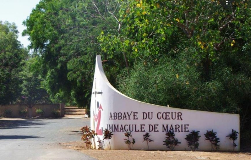 Keur Moussa/Kayar/Tortoise Village/Pink Lake – 1 Day