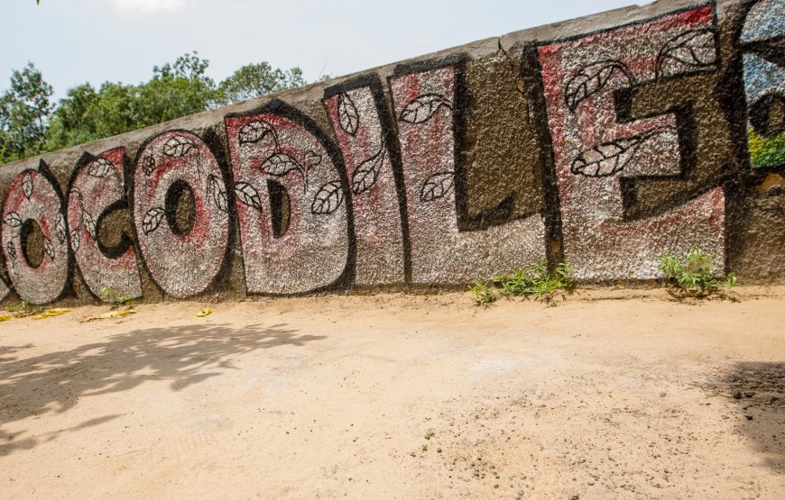 AFROFUTURE FEST – 8 Days (December 27, 2025 to January 03, 2026)