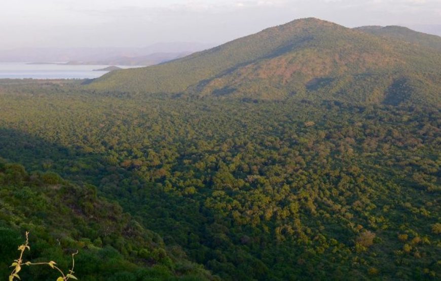 Malawi Tour and Safari – 9 Days