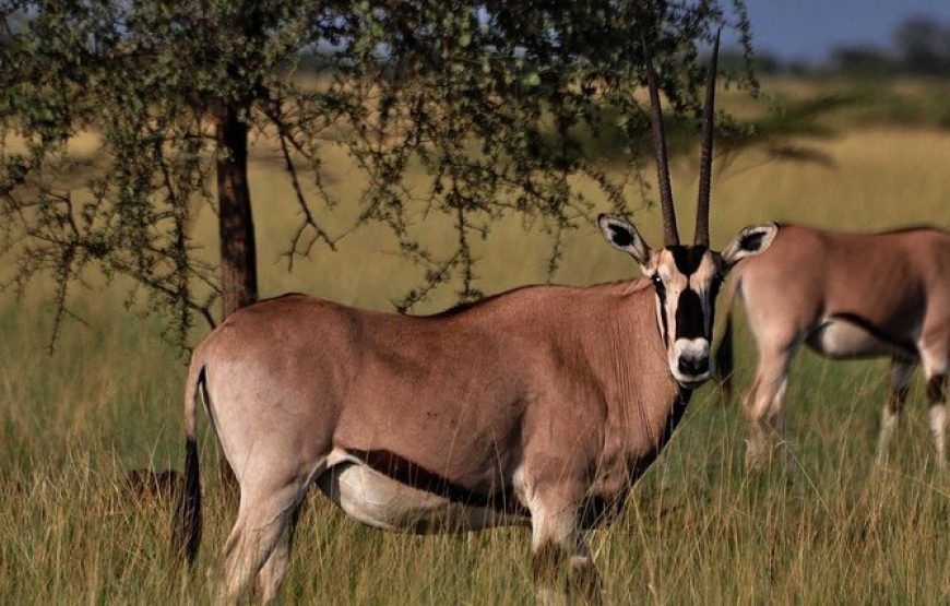 Ethiopia Tour Program Historic Route with Omo – 14 Days