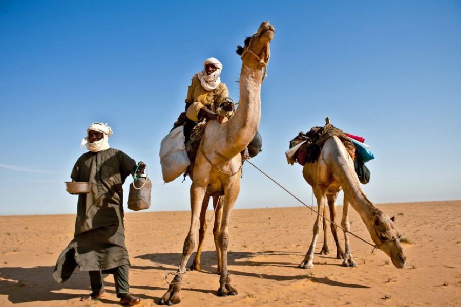 Tour of Chad – 10 Days