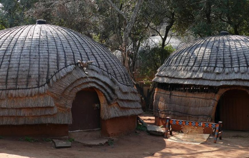 Big Five’ South Africa Tour -12 Days