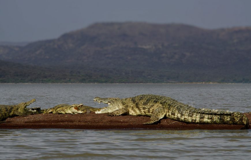 Ethiopia Tour Program Historic Route with Omo – 14 Days