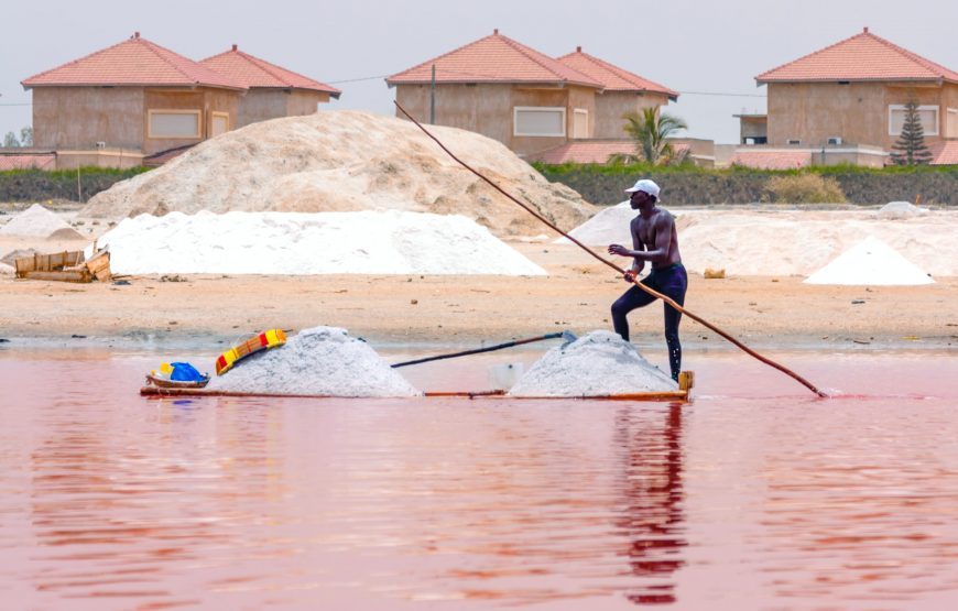Keur Moussa/Kayar/Tortoise Village/Pink Lake – 1 Day