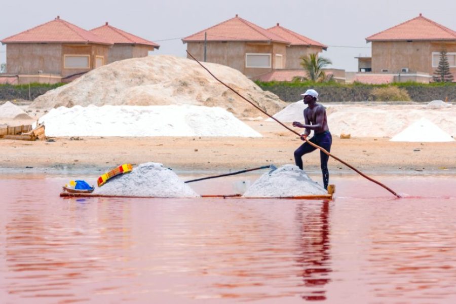 Demba Joob - Keur Moussa/Kayar/Tortoise Village/Pink Lake
