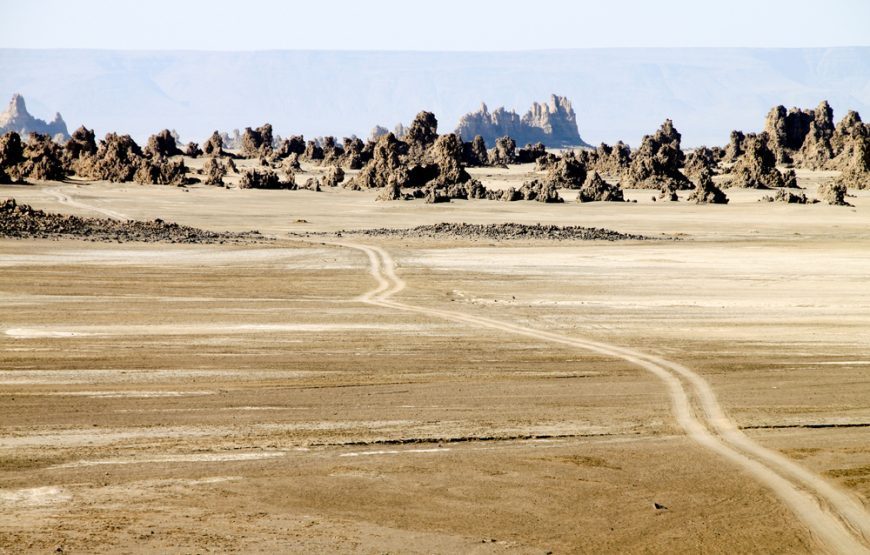 Cultural Tour of Djibouti – 7 Days