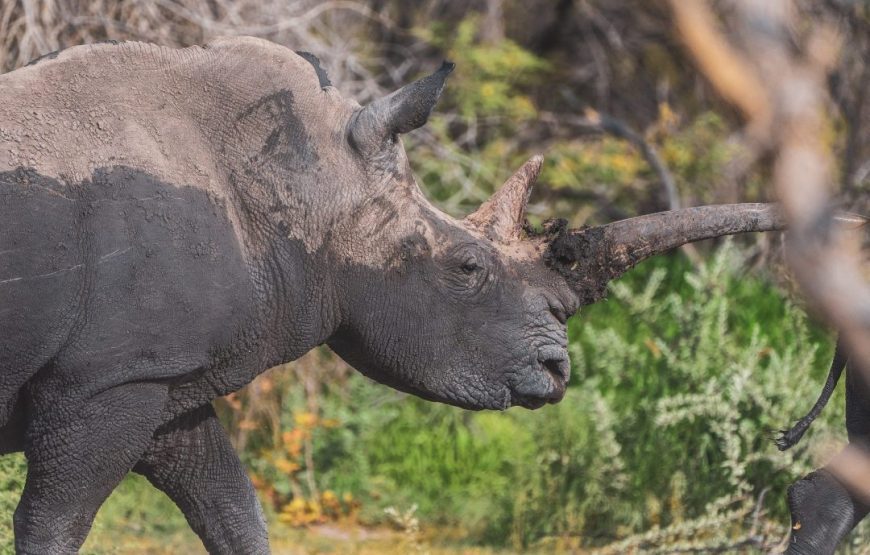 The Best Of Namibia – 14 Days