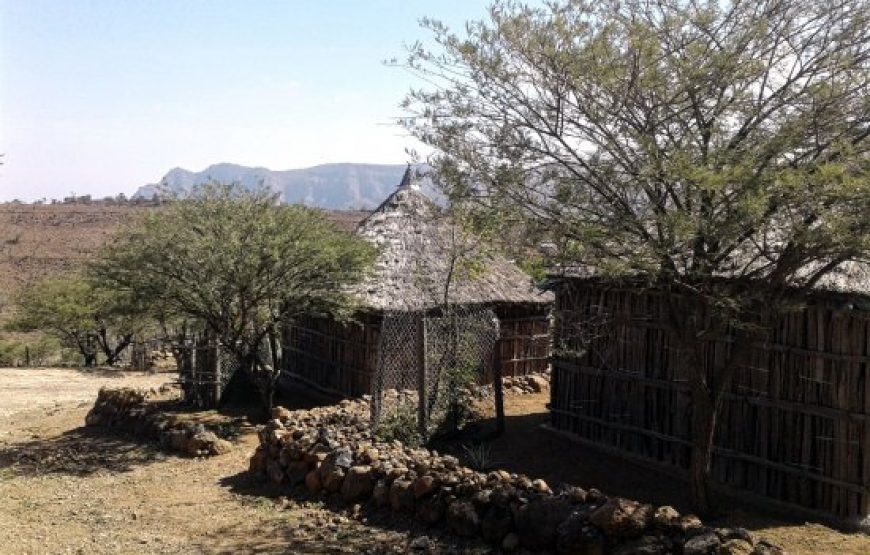 Day 4: Foret du Day National Park