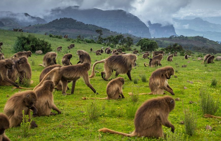 Ethiopia Tour Program Historic Route with Omo – 14 Days