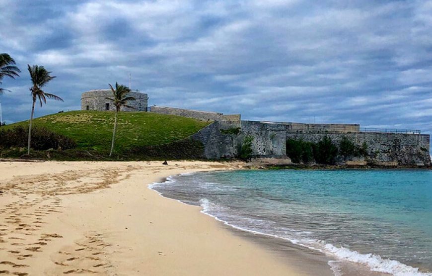 Gabon: Gorillas and More – 5 Days