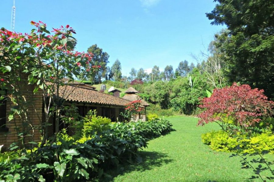 Gisakura Lodge