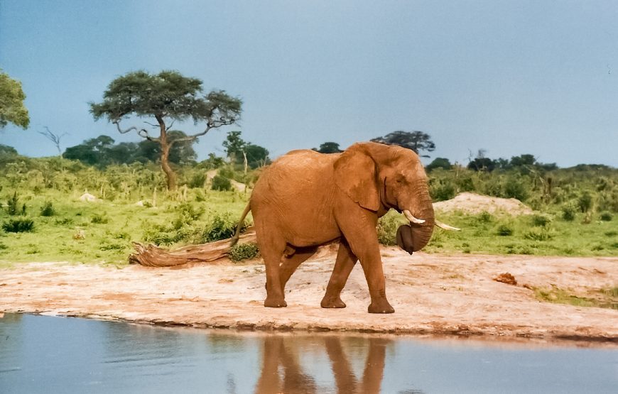 Amazing Zimbabwe – 10 Days