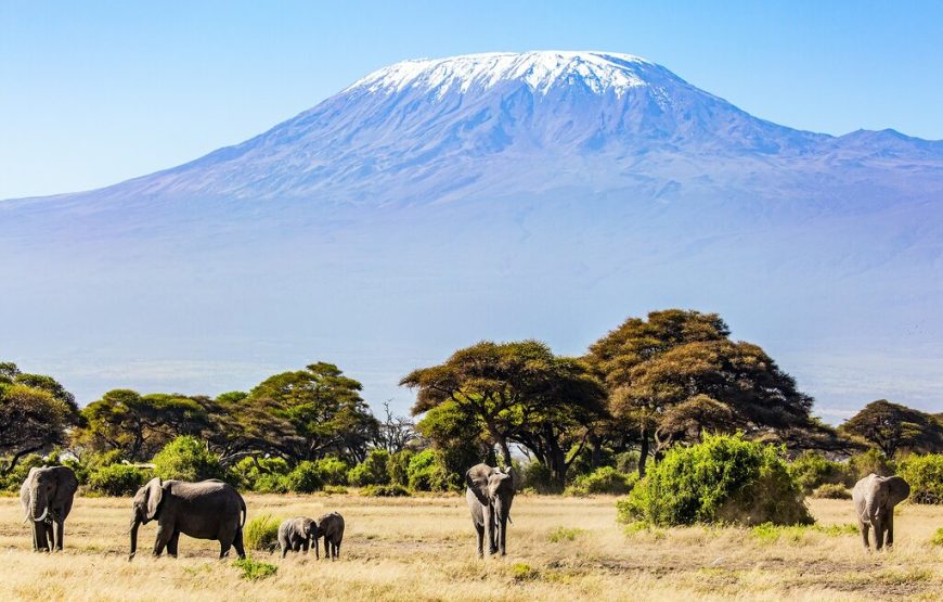Kilimanjaro Climb – Via Western Breach (Whisky Route) – 9 Days