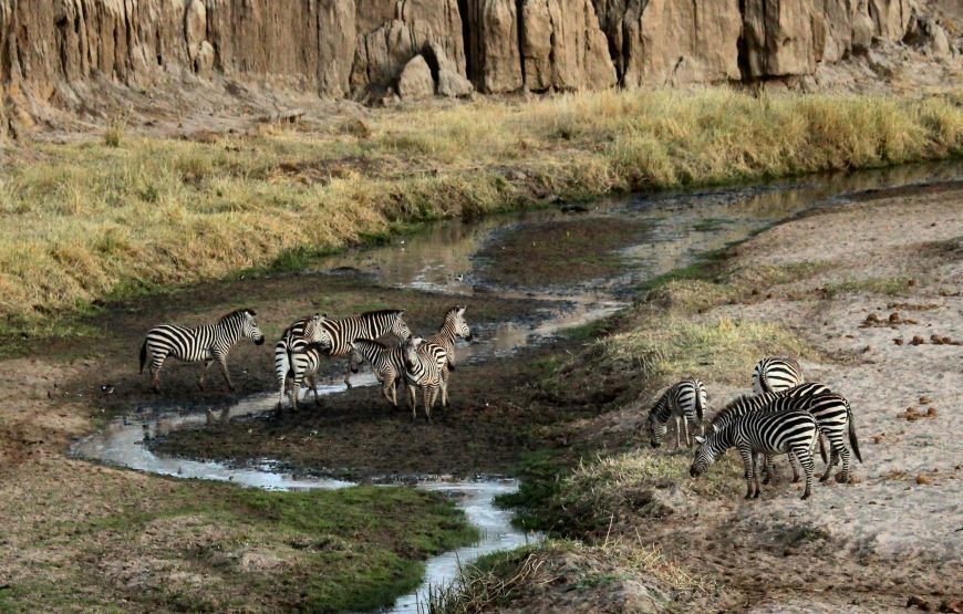 TANZANIA SPECIAL 08 DAY SAFARI