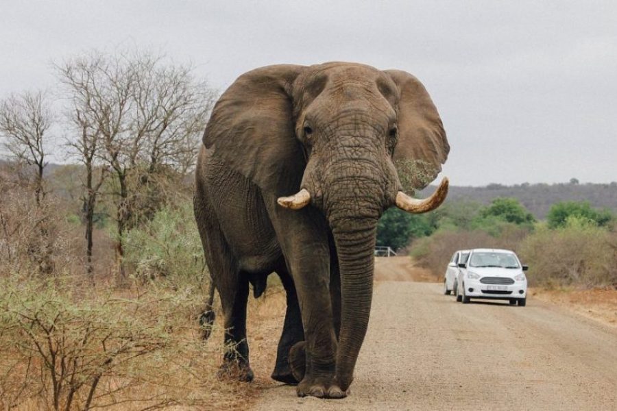 Tanzania Safari & Zanzibar – 9 Days