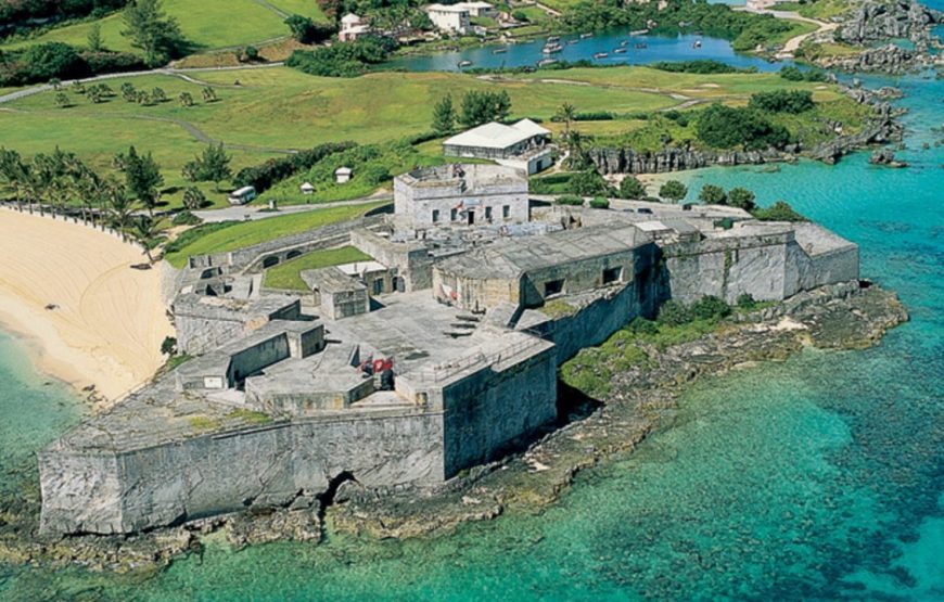 Gabon: Gorillas and More – 5 Days