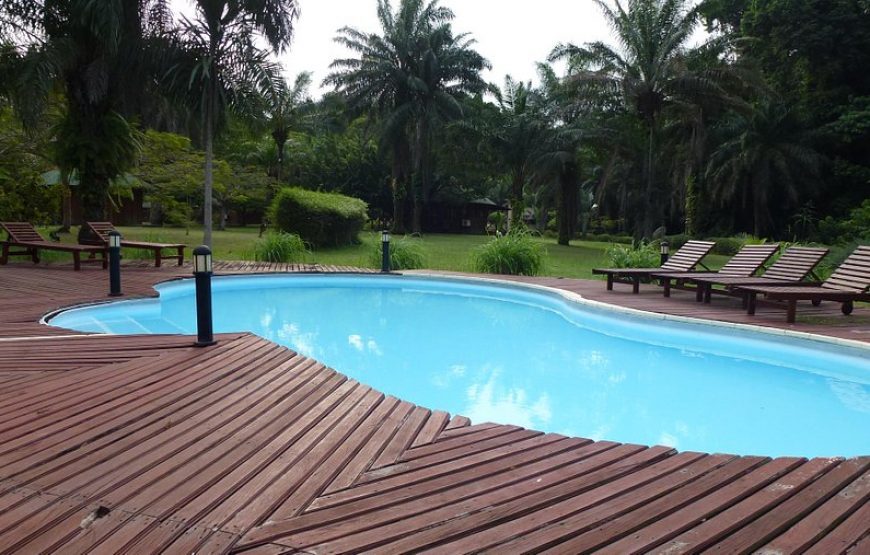 Gabon Gorilla Trekking & Democratic Republic of Congo