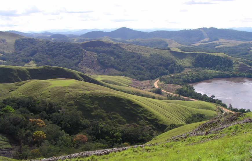 Journey to Loango National Park – 12 Days