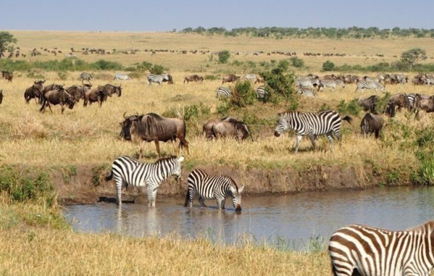 Kenya & Tanzania Classic Safari – 11 Days