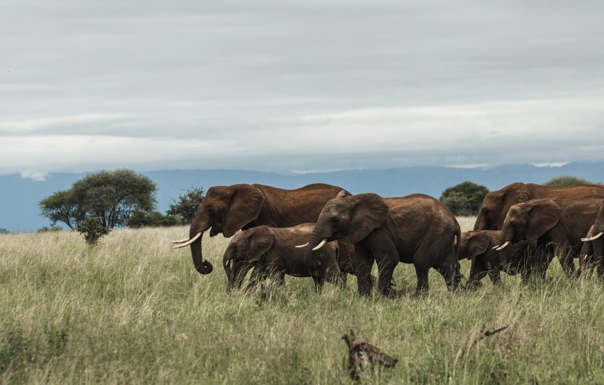 Malawi Tour and Safari – 9 Days