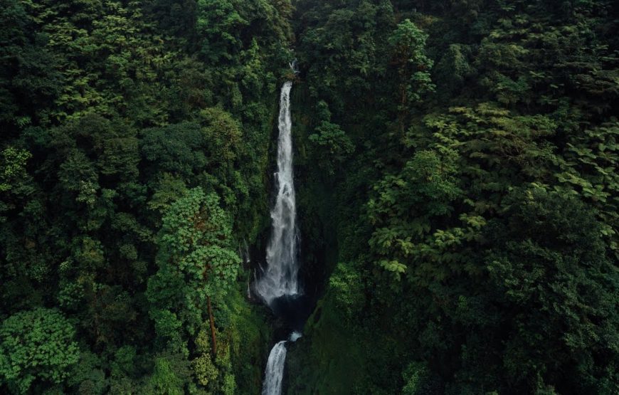 Bioko Explorer – 5 Days