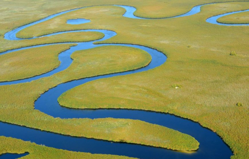 Botswana Family Safari – 12 Days