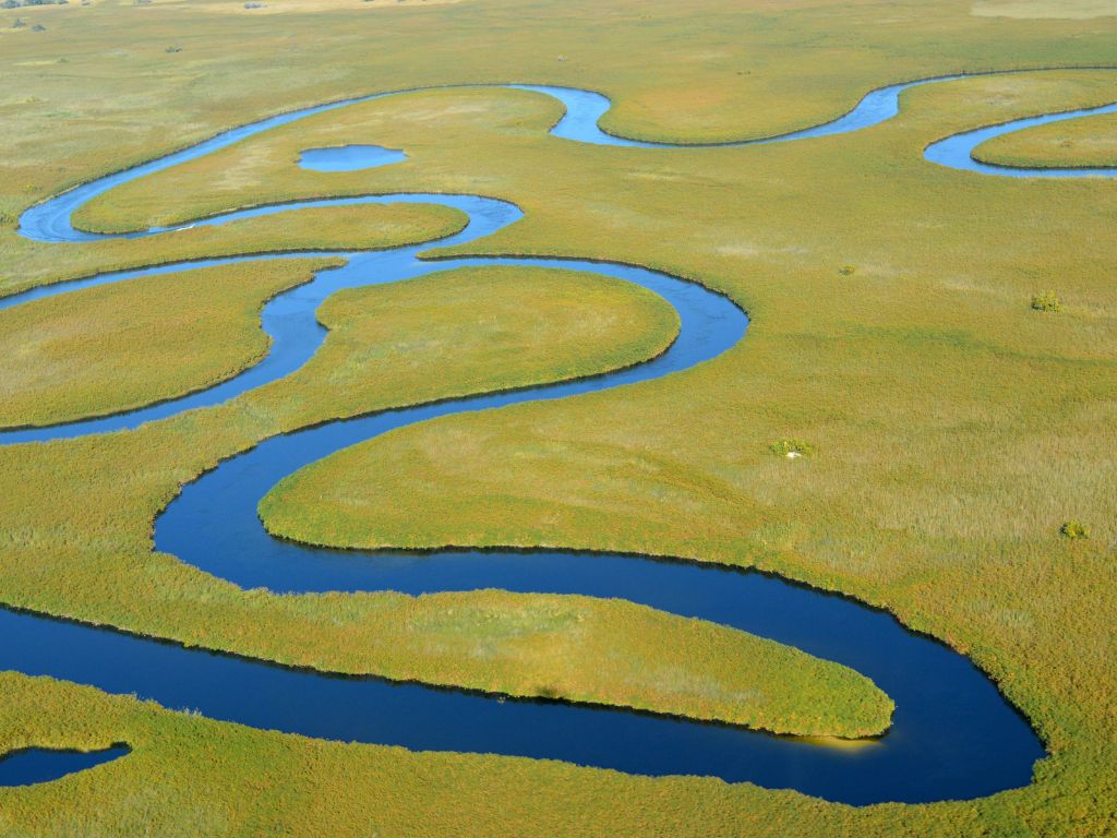 Day 10 Moremi Game Reserve - Okavango Delta