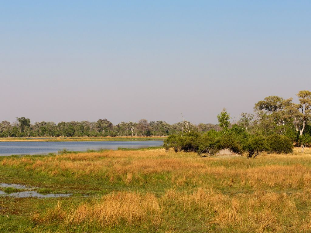 Day 7 Chobe National Park - Moremi Game Reserve