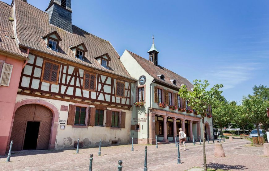 Journey to Loango National Park – 12 Days