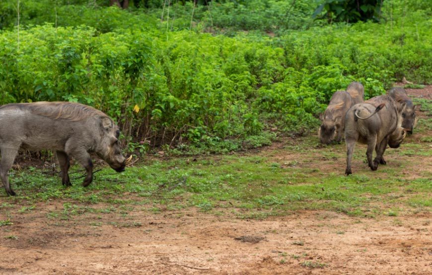 Namibia Highlights – 10 Days