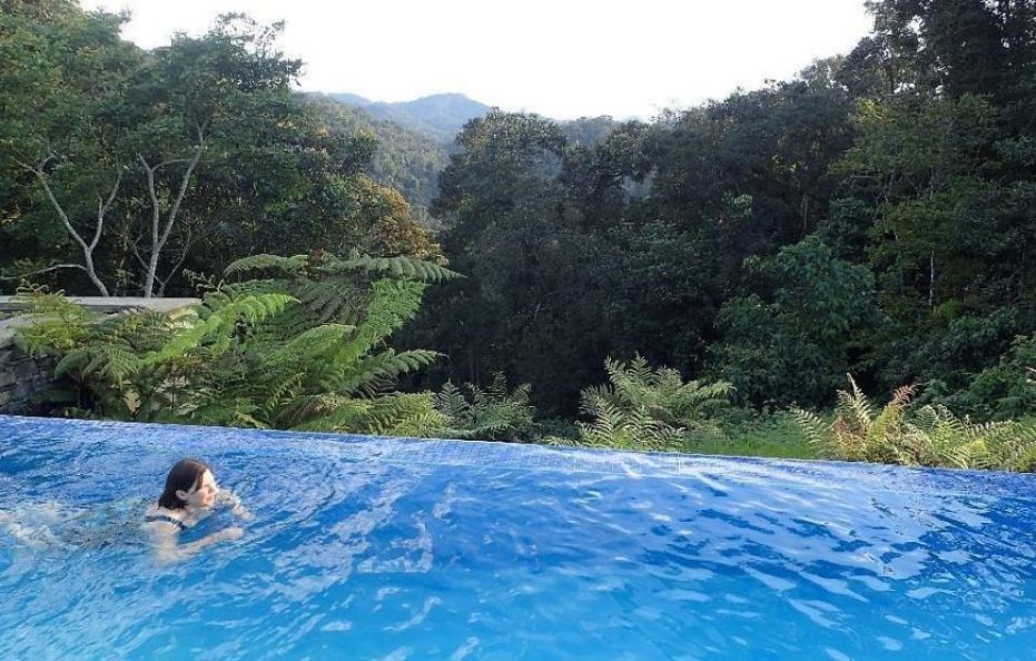 Nyungwe Forest Lodge