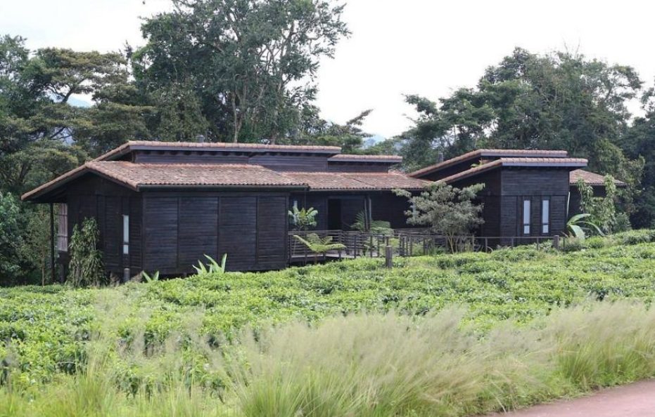Nyungwe Forest Lodge