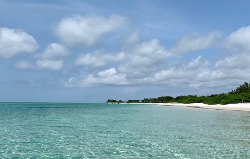 Gabon Gorilla Trekking & Democratic Republic of Congo