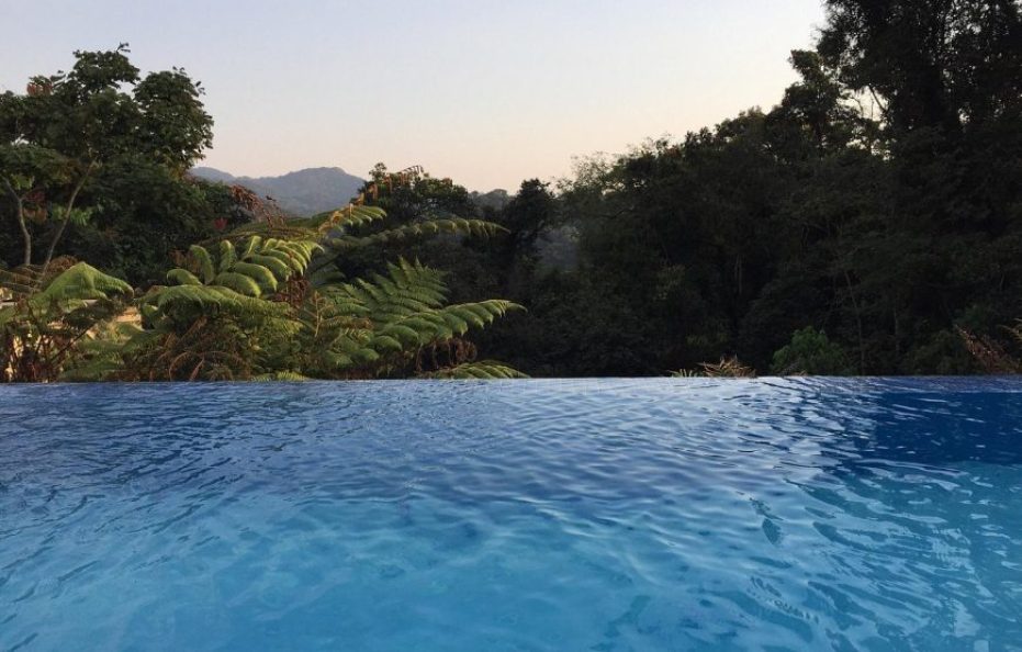 Nyungwe Forest Lodge