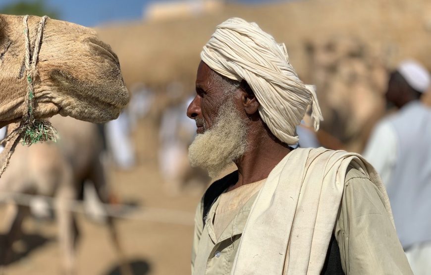 Discover Eritrea – 7 Days