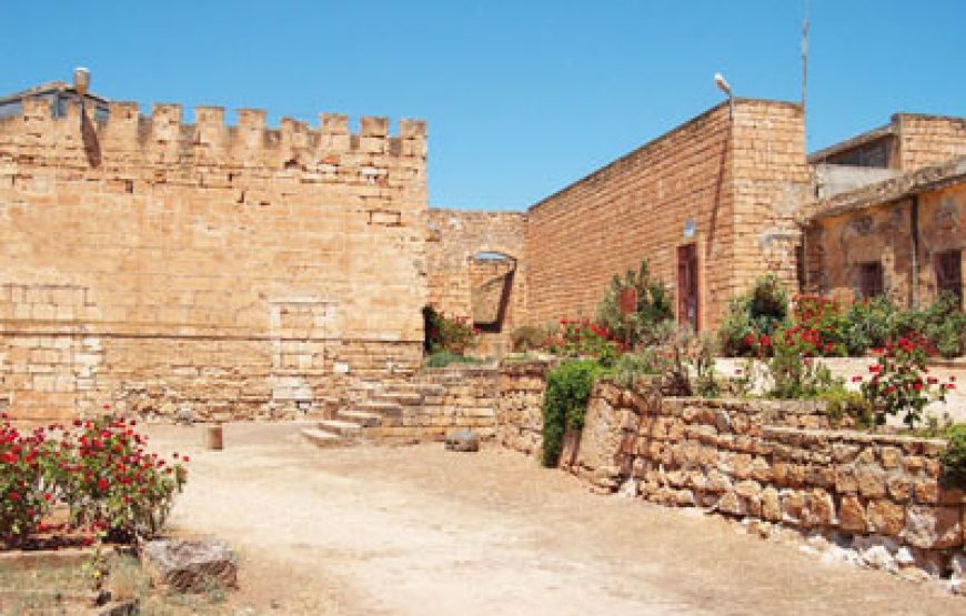 Exploring Libya – 11 Days